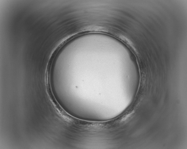 X0000073831125200608311901