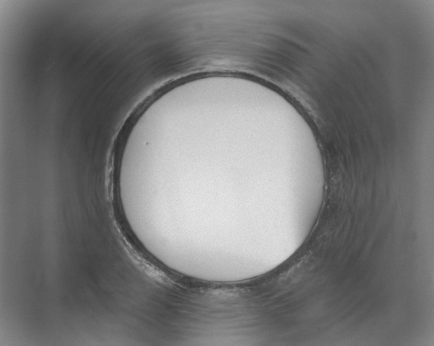 X0000073831126200608311901