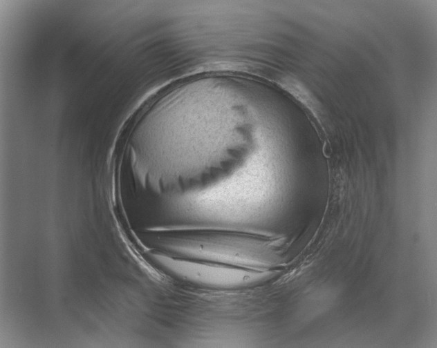 X0000073831127200608311901