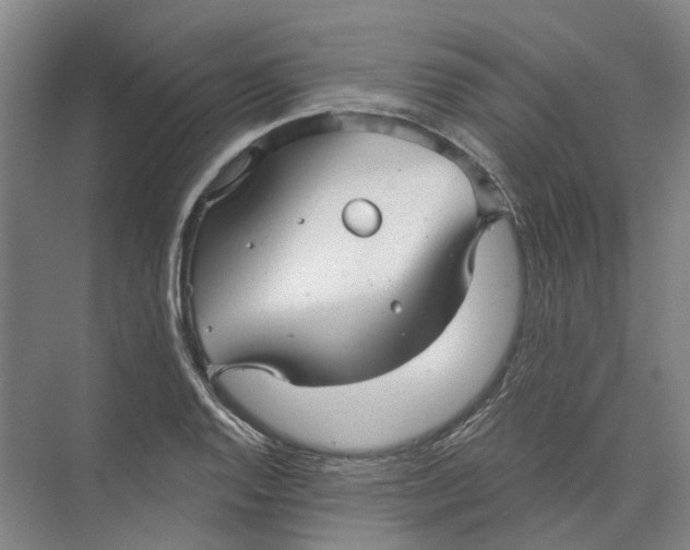 X0000073831128200608311901