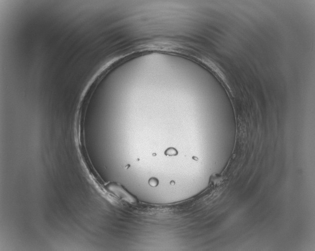 X0000073831131200608311901