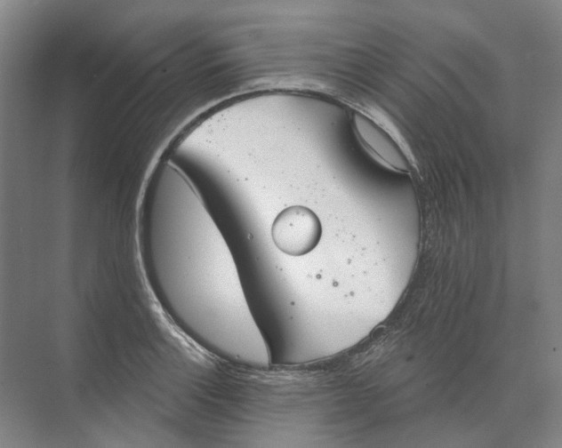 X0000073831132200608311902