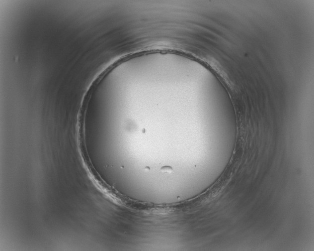 X0000073831134200608311902