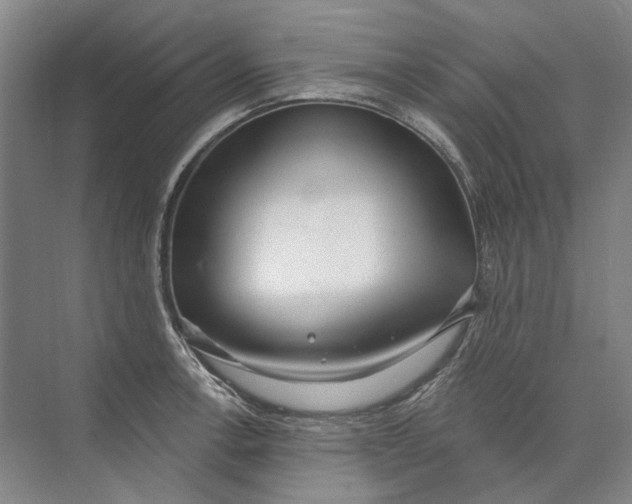 X0000073831138200608311902