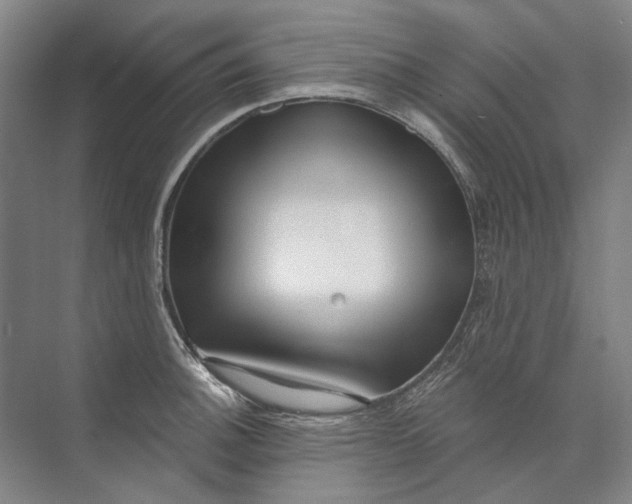 X0000073831140200608311902