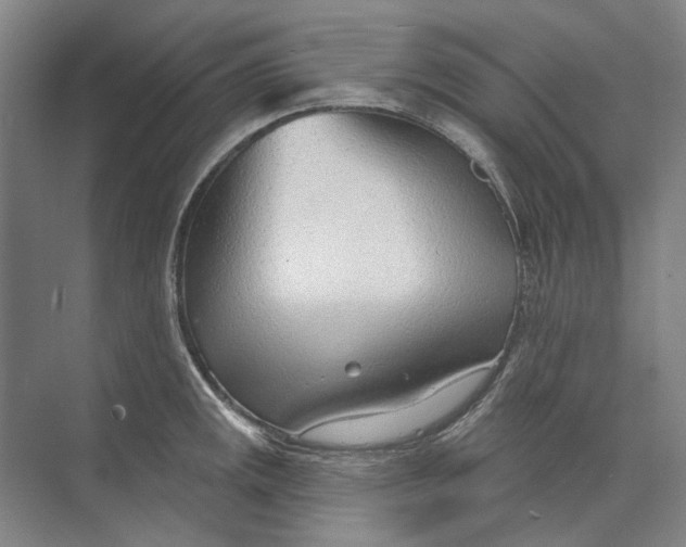 X0000073831141200608311902