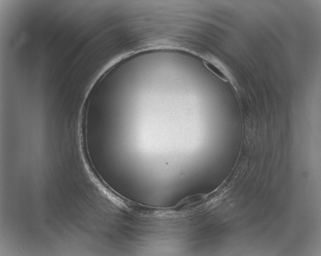 X0000073831142200608311902