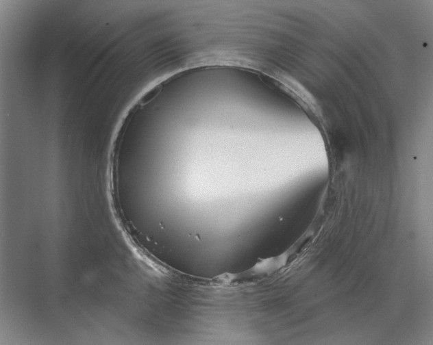 X0000073831144200608311902