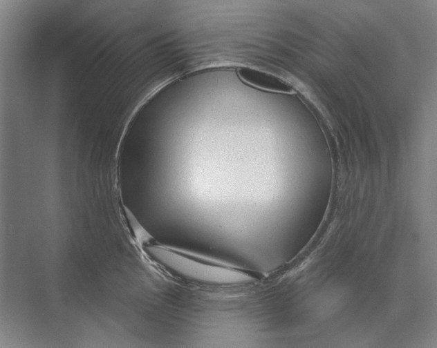 X0000073831145200608311902