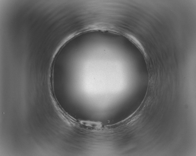 X0000073831146200608311902