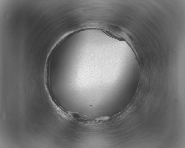 X0000073831147200608311902