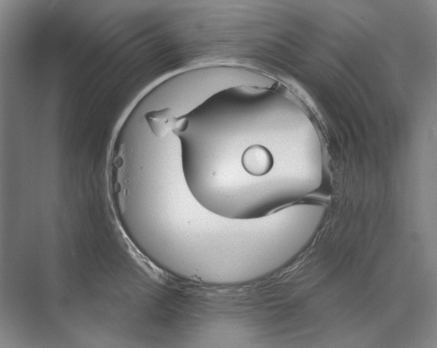 X0000073831148200608311902