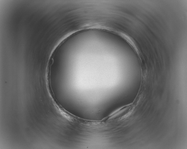 X0000073831149200608311902