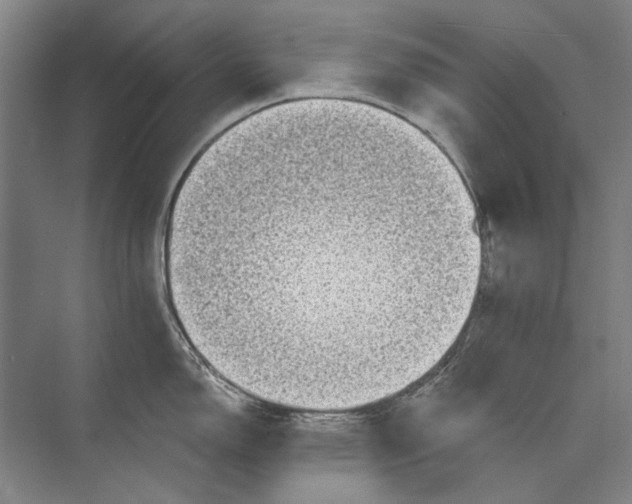 X0000073831150200608311902