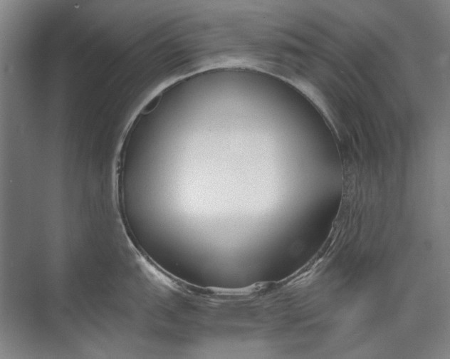 X0000073831151200608311902