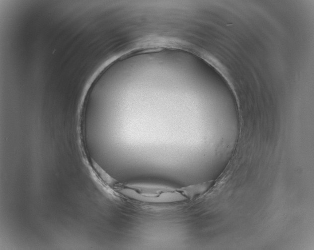 X0000073831152200608311902