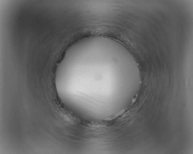 X0000073831153200608311901