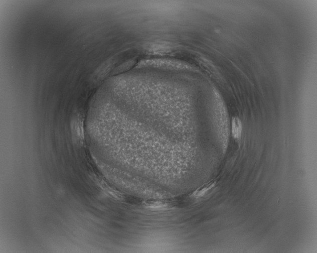 X0000073831155200608311901