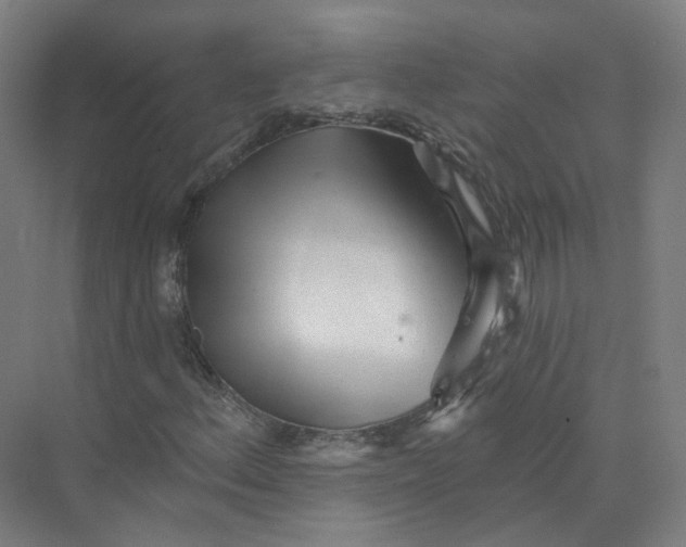 X0000073831156200608311901