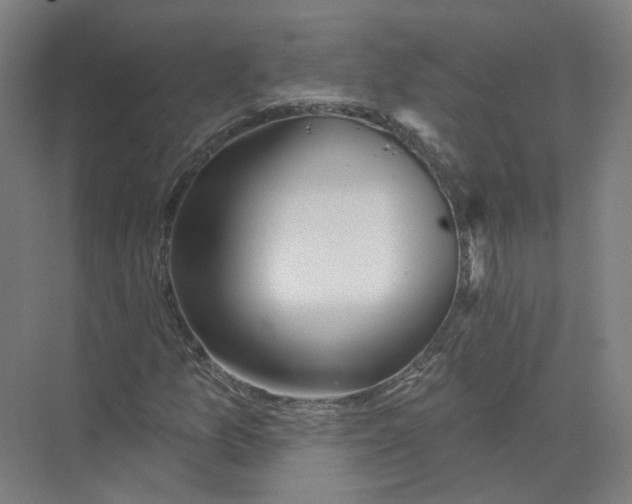 X0000073831157200608311901