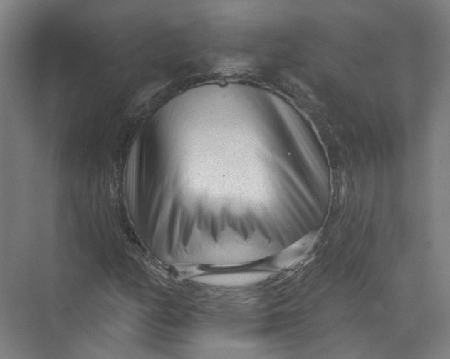 X0000073831158200608311901