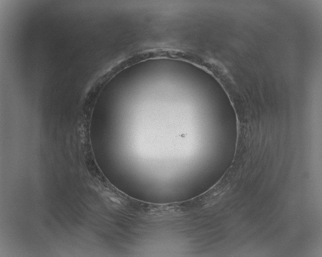 X0000073831159200608311901