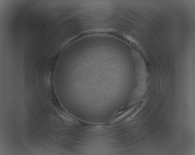 X0000073831161200608311901