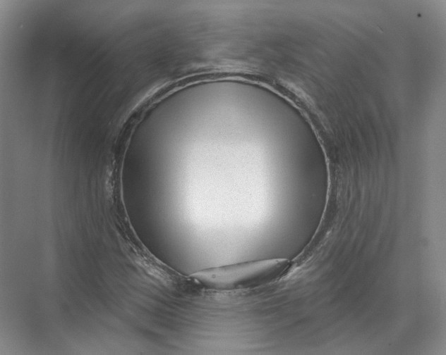 X0000073831163200608311901