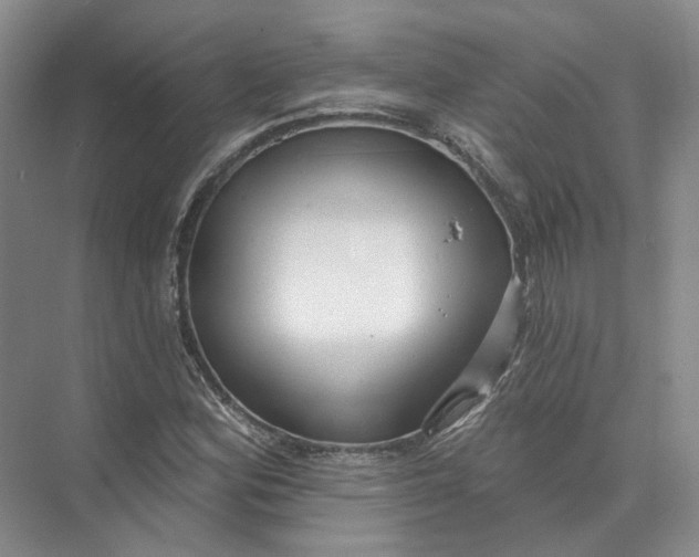 X0000073831164200608311901