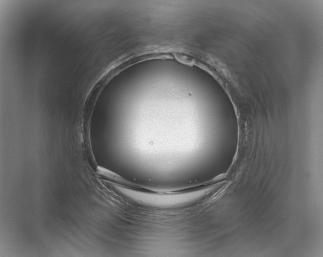 X0000073831165200608311901