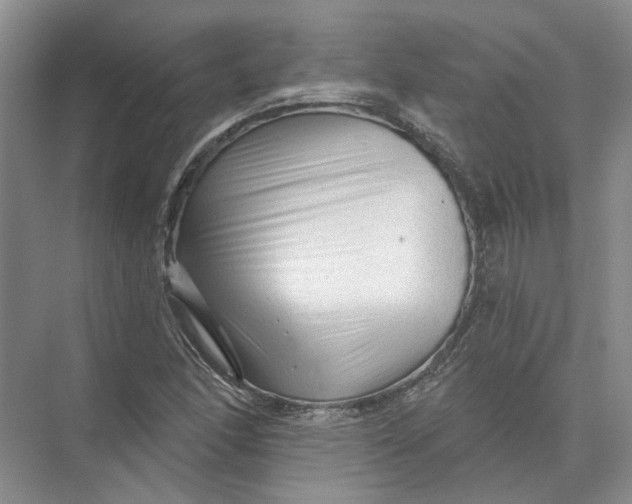 X0000073831166200608311901