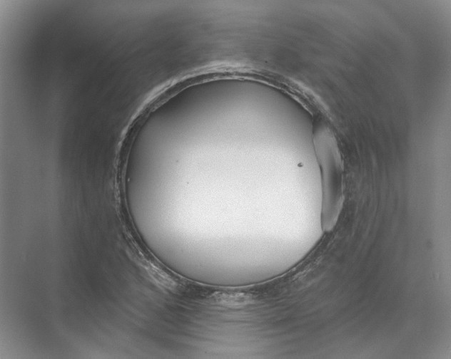 X0000073831168200608311901