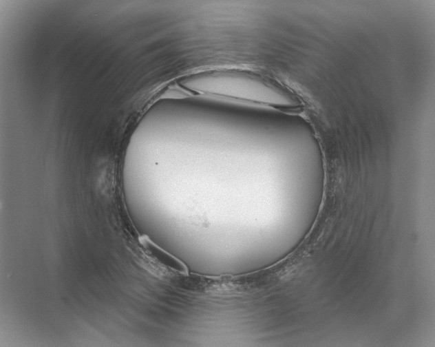 X0000073831169200608311901