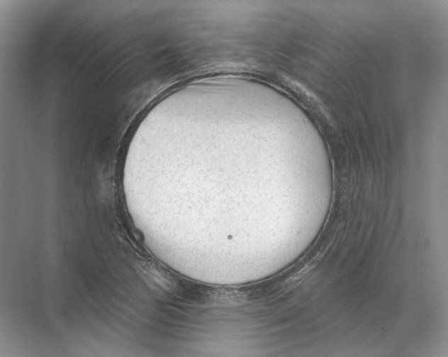 X0000073831170200608311901