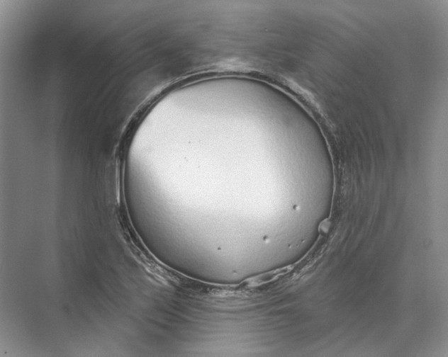 X0000073831171200608311901