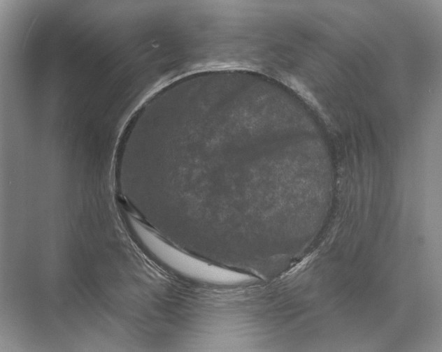 X0000073831173200608311901