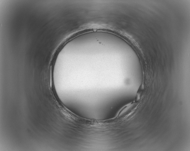 X0000073831175200608311901