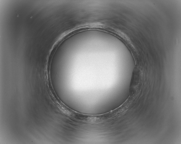 X0000073831176200608311901