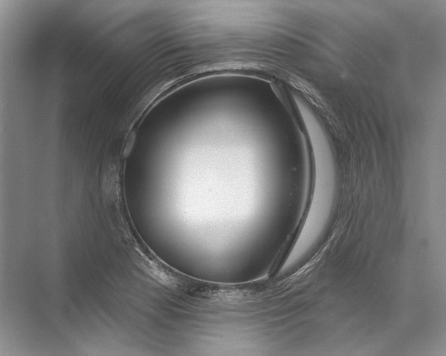 X0000073831177200608311901