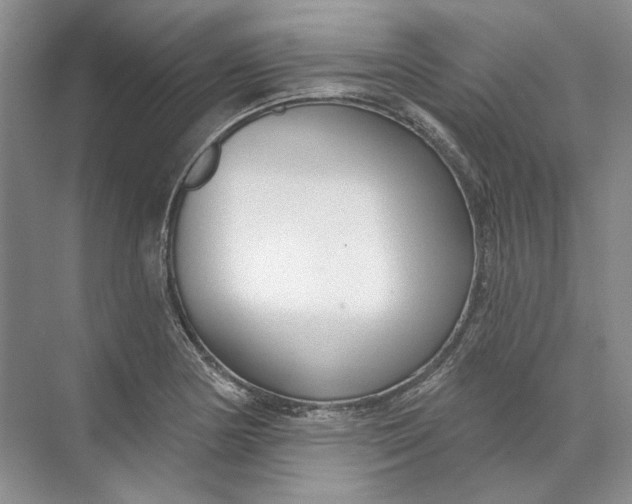 X0000073831178200608311901