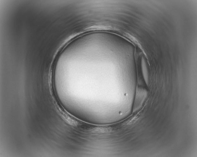 X0000073831179200608311901