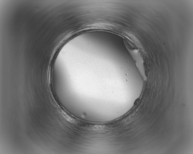 X0000073831180200608311901