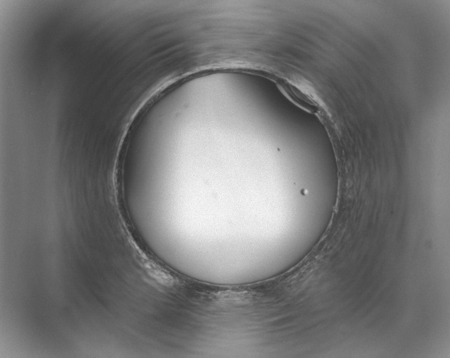 X0000073831181200608311901