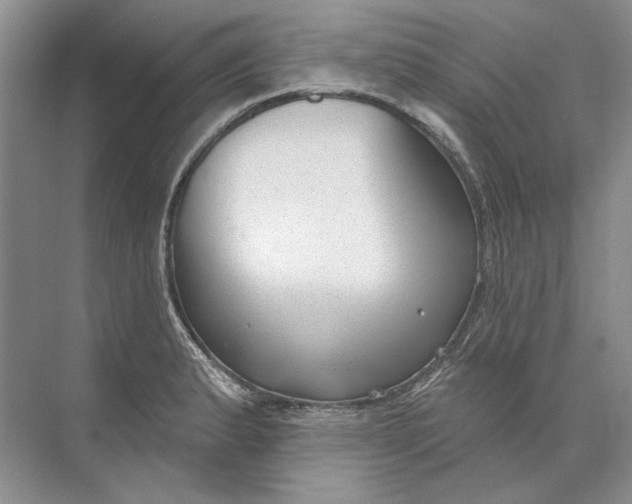 X0000073831183200608311901