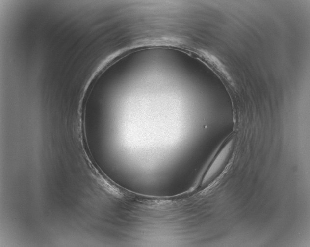 X0000073831184200608311901