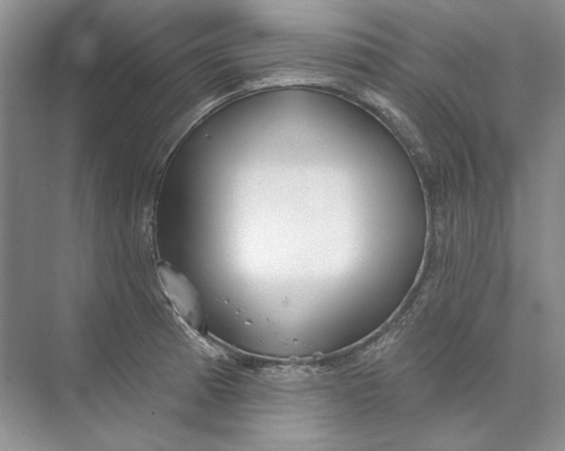 X0000073831185200608311900