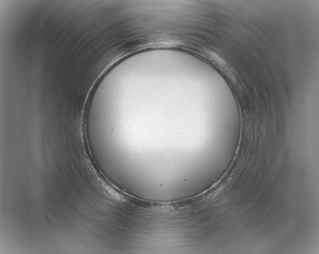 X0000073831186200608311900