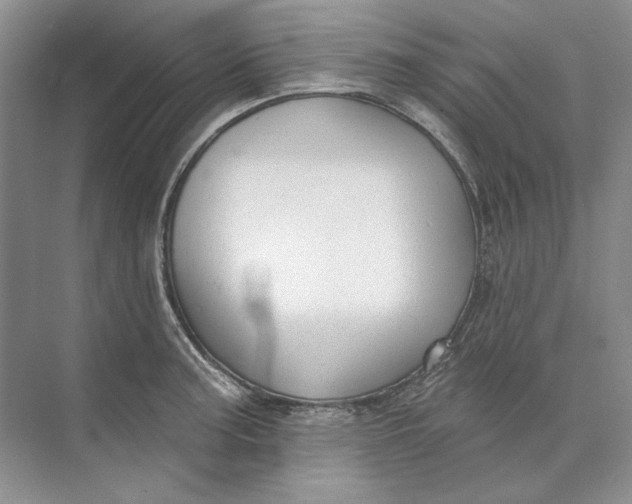 X0000073831187200608311900