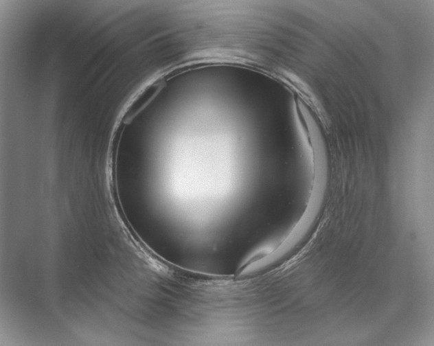 X0000073831188200608311900