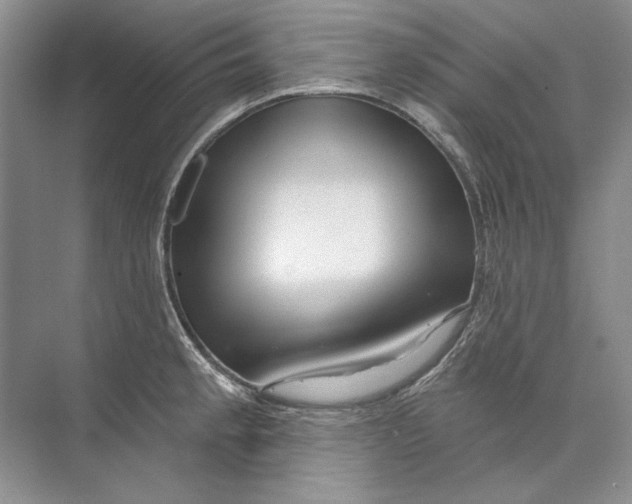 X0000073831189200608311900